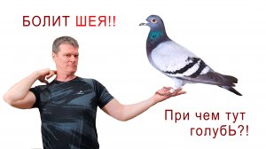 Голубь