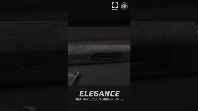 Elegance high-precision sniper rifle