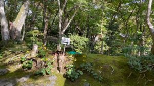 Часть 4 Арашияма и Золотой павильон