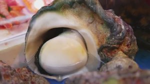 Гигантская морская улитка. Японская кухня.