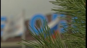 2003.08. Мегион МНГ Благоустройство