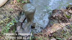 Скважина с самоизливом.