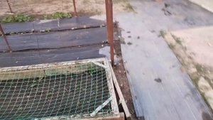 Агроткань от сорняков. Чистый огород. (1)