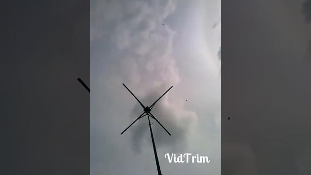 Герман,голуби липецк смотреть онлайн