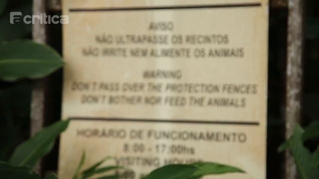 Símbolo da hotelaria amazonense: Tropical Hotel 'fecha' por tempo indeterminado смотреть онлайн