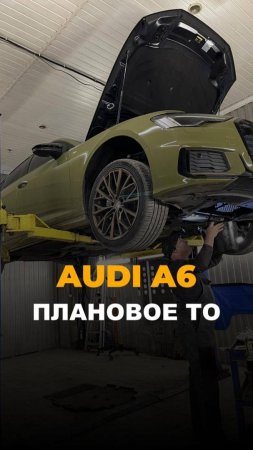 Масло Rheinol, которое сами льем себе и предлагаем Вам. Сегодня на плановом ТО Audi A6