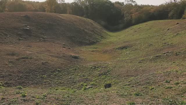 Татарское городище в Ставрополе. Шпаковский округ.