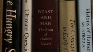 Тёмные ноты: музыка для обогащения ума