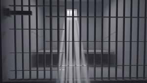 свет в клетке попугая своими руками. УФФФЬ!! Какая лампа!!