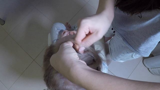 Необычная коса наизнанку в детский сад Красивые прически пошагово