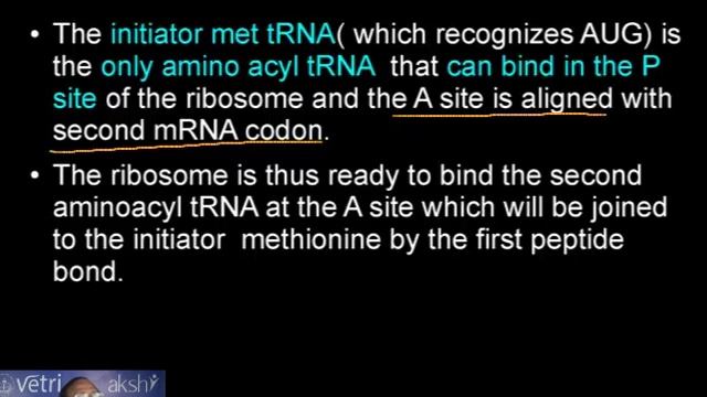Molecular basis of inheritance Part 11