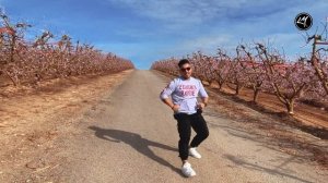 REFLEJO - La Reina del Flow CHARLY (Coreografía ZUMBA)   LALO MARIN