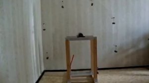 Эксперименты с Гравитационным Колесом