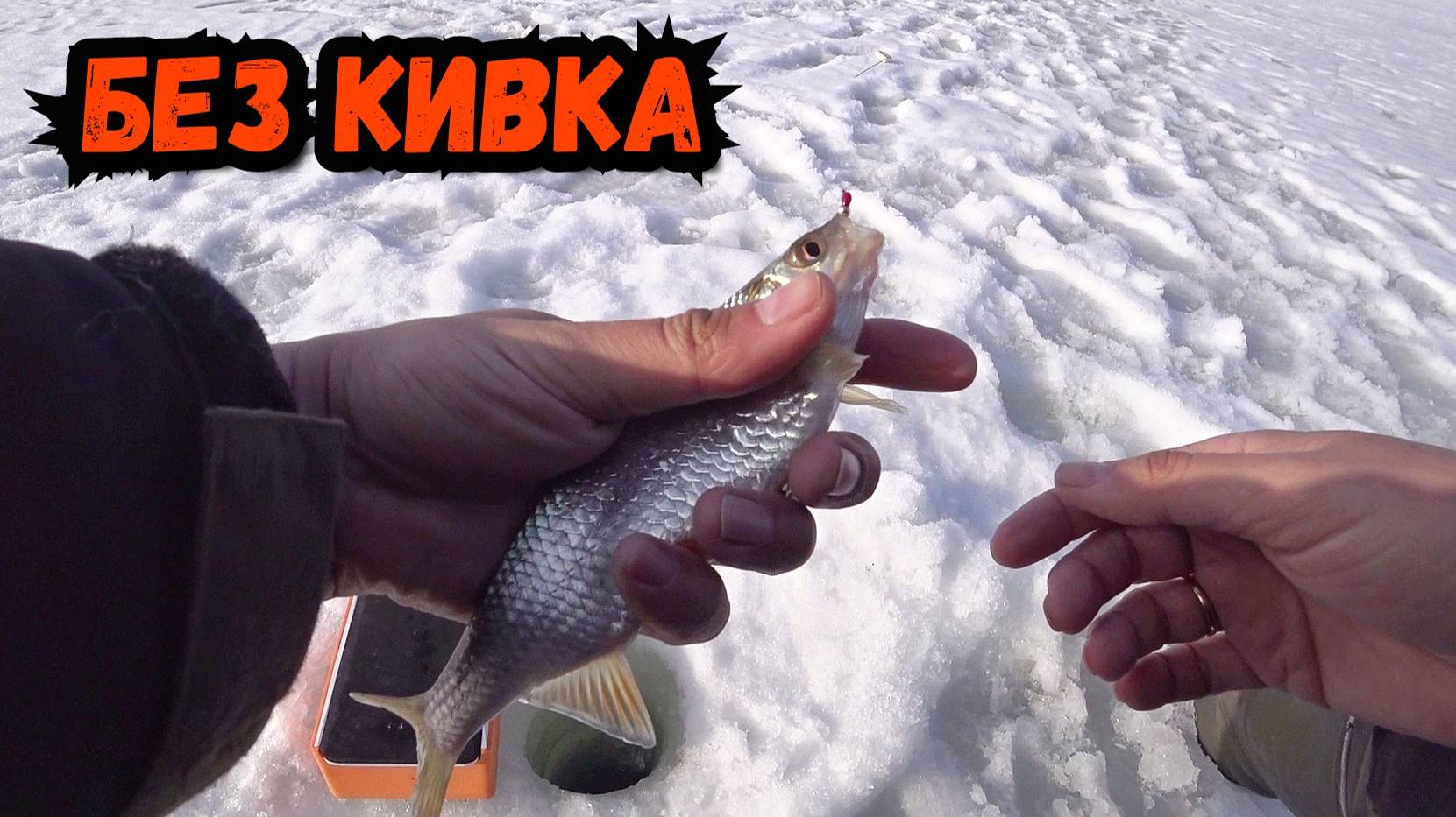 Плотва на безмотылку - зимняя рыбалка с безкивковой удочкой смотреть онлайн