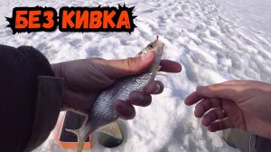 Плотва на безмотылку - зимняя рыбалка с безкивковой удочкой