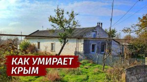 Степной Крым. Как ЛЮДИ ЖИВУТ. Почему умирает село Нива.