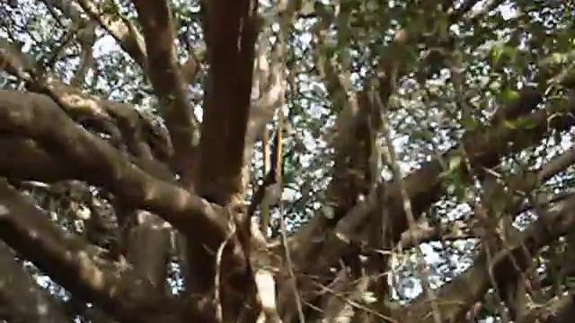 Бьюдэфул Индия - Клип Конхстанхтина.. [Индия 2012] смотреть онлайн