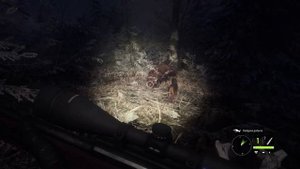 Ночная охота в The hunter call of the wild