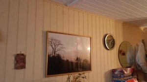 video_2024-11-20_10-31-09