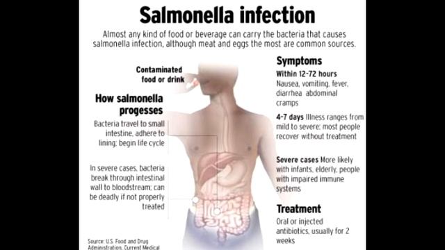 POULTRY EXPLAINED | The DANGERS of Eating CHICKEN & POULTRY: A Scientific Analysis смотреть онлайн