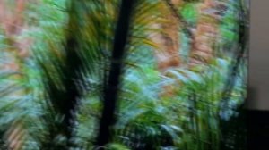 ВЫБИРАЕМ ТЕЛЕВИЗОР 75 ДЮЙМОВ 2024 ГОД