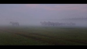 Сиэйэ Уола "Отуу уота" (Л.Попов тыла, бэйэтин матыыба). Ахсынньы, 2020 сыл.