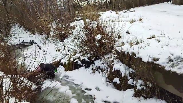 ломаем лёд 2 часть. смотреть онлайн