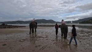 20-11-2024 Пхукет, отдых пляж Карон