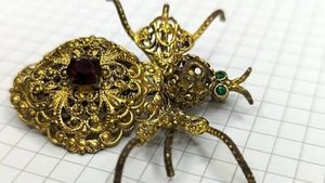 Нашел паука у бабушки в шкафу