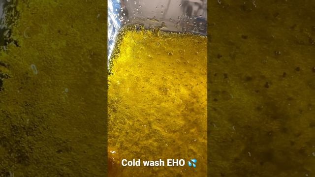 Cold wash ethanol extraction￼