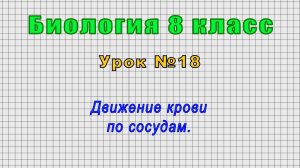 Биология 8 класс (Урок№18 - Движение крови по сосудам.)