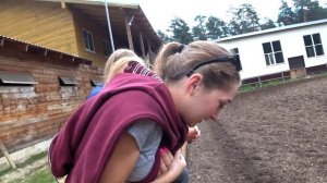 ВЛОГ С КОНЮШНИ || ПРИЕХАЛ ГУБАН, ВЕРНУЛАСЬ НА ДАШКУ?