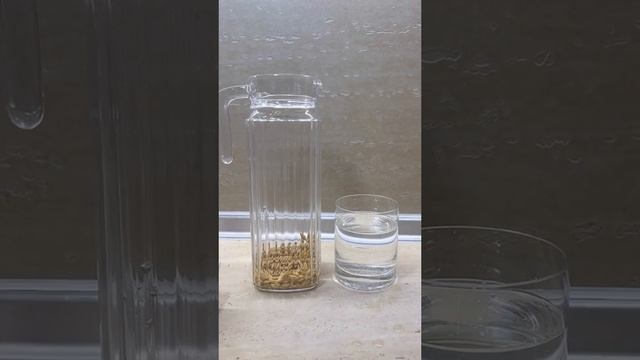 Живая вода не нужна нежити, не спасет... смотреть онлайн