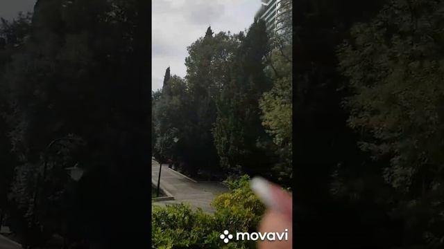 #норильск_ялта/когда за окном пурга, так приятно вспомнить летний отпуск смотреть онлайн