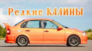 Самые редкие «Лады Калины»