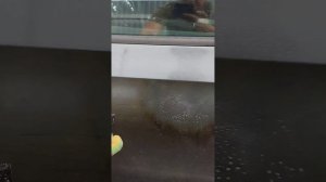 Как отмыть мазут с машины.