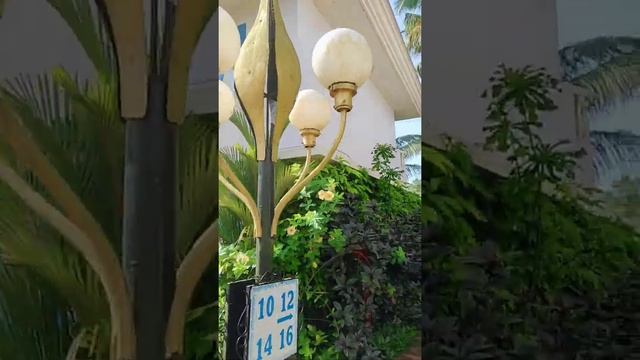 Coconut Grove Indy Resort смотреть онлайн