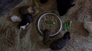 13520166-uhd_3840_2160_25fps