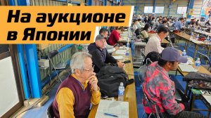 Осматриваю и испытываю технику предстоящего Японского аукциона Arai Kenki.