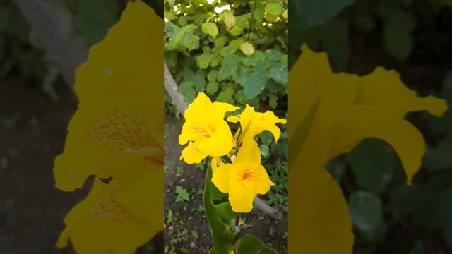 Природа дает человеку тепло, свет, воздух, воду и пищу.