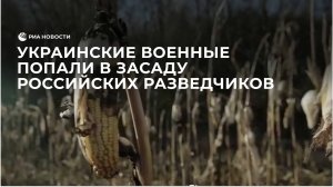 Украинские военные попали в засаду российских разведчиков