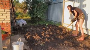 КУПИЛА ЗАБРОШЕННУЮ ДАЧУ/ВИТАЛЯ ВСКОПАЛ ПЛОЩАДКУ ПОД ГАЗОН/ГАЗОН СВОИМИ РУКАМИ