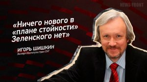 "Ничего нового в "плане стойкости" Зеленского нет" - Игорь Шишкин