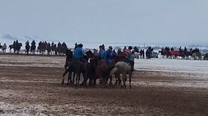 Кок бору 2024