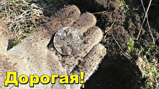 Бабушка разрешила походить возле дома - Дорогая монета смотреть онлайн