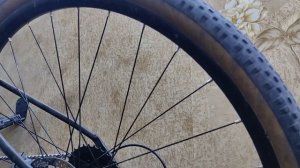 MAXXIS RECEPTOR 700X40C.Первые впечатления.