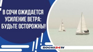 ПОРЫВЫ ВЕТРА ДО 20 М/С: ПРЕДУПРЕЖДЕНИЕ ДЛЯ ЖИТЕЛЕЙ СОЧИ И СИРИУСА