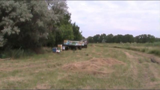 Кочевая пасека Кийко на гречке  2014