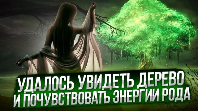 Сеанс квантового программирования: Увидели ДЕРЕВО и почувствовали ЭНЕРГИЮ РОДА