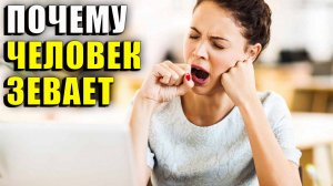 Почему человек зевает